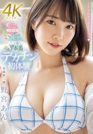 野宮あん